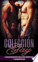 Libro Colección Gay