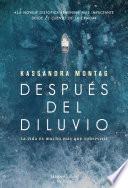 Libro Después del diluvio