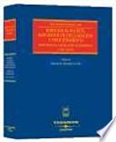 Libro Edificios ruinosos, supuestos de declaración y procedimiento