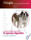 Libro El aparato digestivo. Casos clínicos. Cirugía en la clínica de pequeños animales