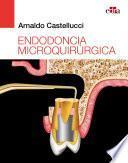 Libro Endodoncia microquirúrgica