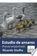 Libro Estudio de Ansares