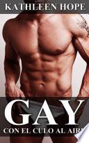Libro Gay: Con el culo al aire