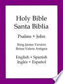 Libro Holy Bible, Spanish and English Edition Lite