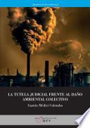 Libro La tutela judicial frente al daño ambiental colectivo