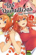 Libro Las Quintillizas 1