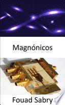 Libro Magnónicos
