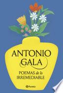 Libro Poemas de lo irremediable