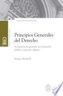 Libro Principios generales del Derecho