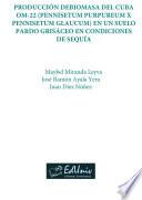 Libro Producción de biomasa del Cuba OM-22 (pennisetum purpureum x pennisetum glaucum) en un suelo pardo grisáceo en condiciones de sequía