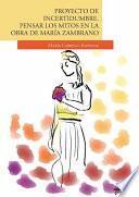 Libro Proyecto de incertidumbre