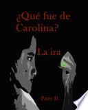 Libro ¿Qué fue de Carolina?
