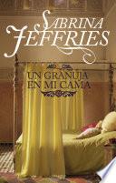 Libro Un granuja en mi cama