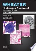 Libro Wheater. Histología funcional